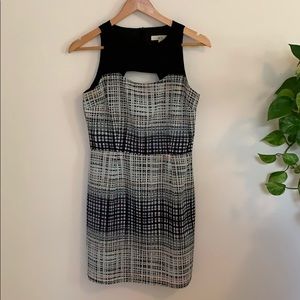 Jack by BB Dakota dress size 2